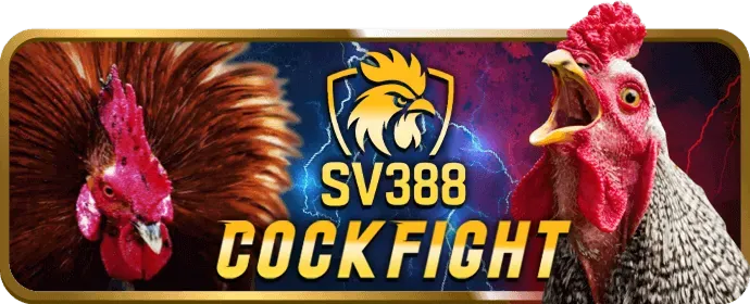 Hoàn trả hàng ngày Lovebet